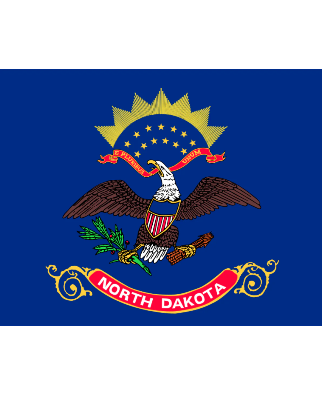 State of North Dakota Flag 0